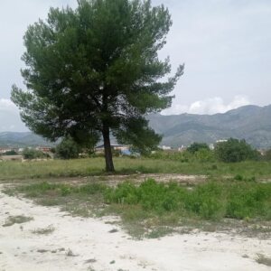 X-R-RMP8356 Plots of land в Orba